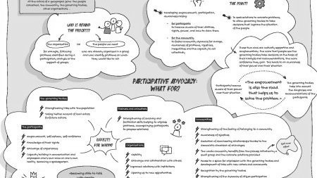 Implementing a participative advocacy approach